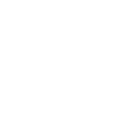 Audit Preparation & Certification Support