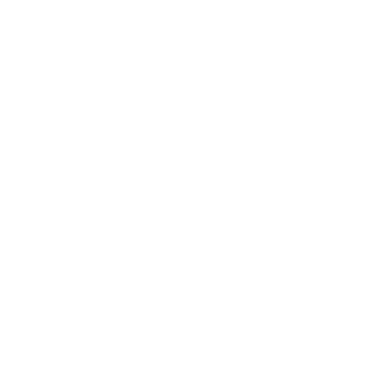 Documentation & Policy Development