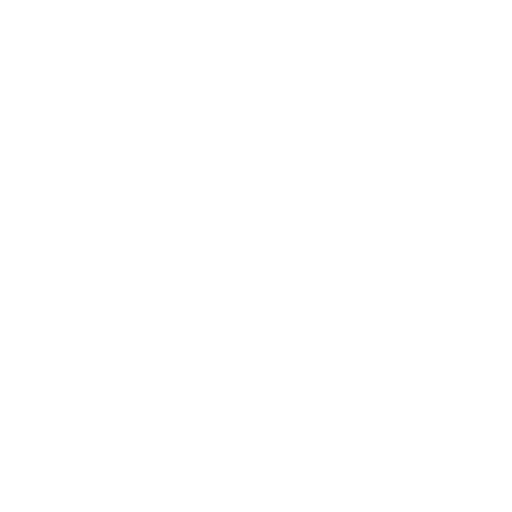 IT Consulting