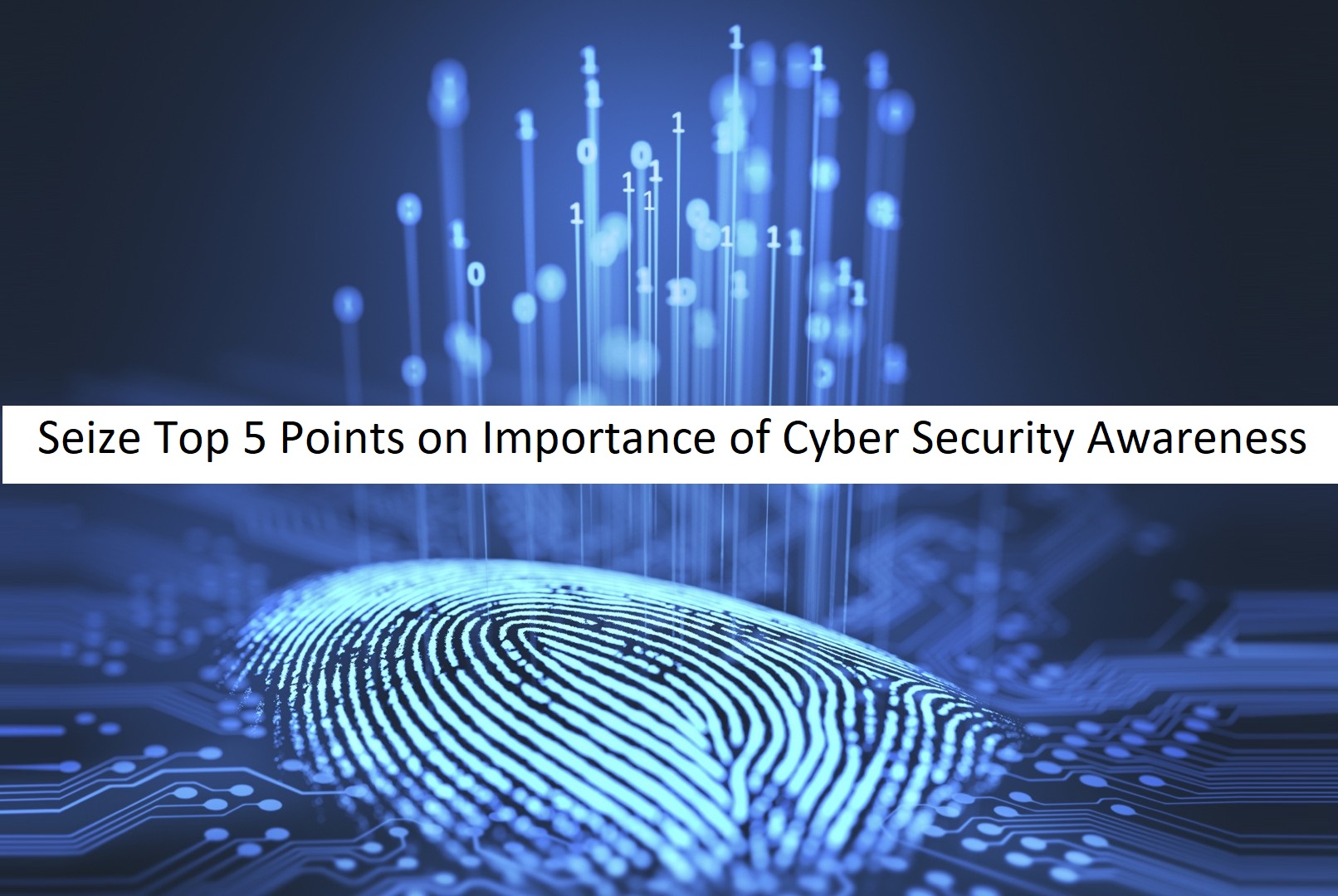 Seize Top 5 Points on Importance of Cyber Security Awareness