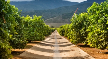 img-IT-support-Lemon-Grove