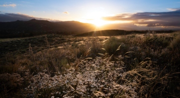 img-indexpage-murrieta