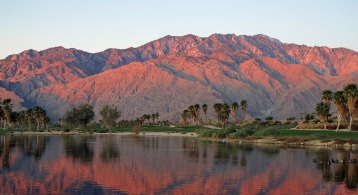img-indexpage-palm-springs-ca