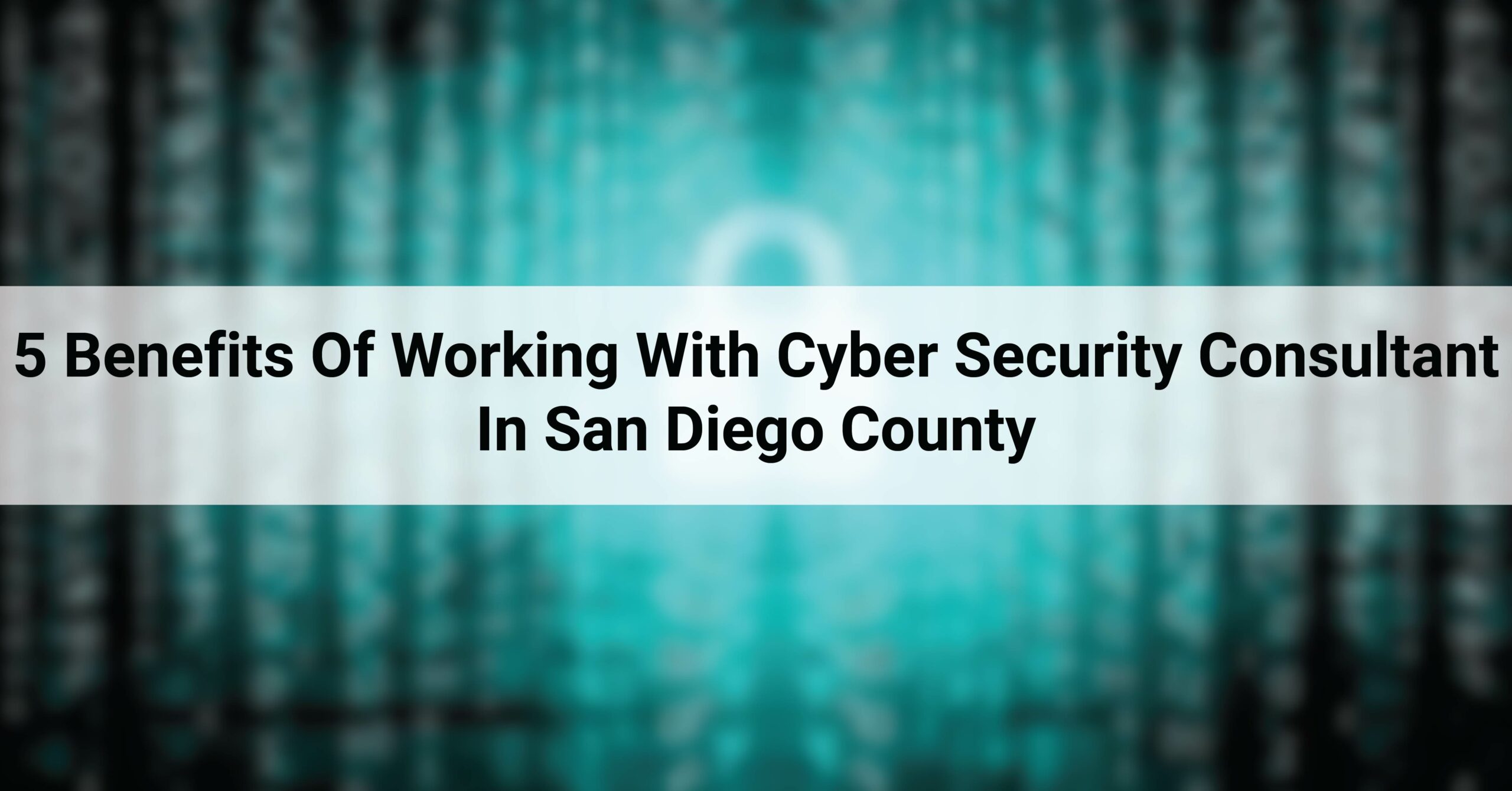 5 Benefits Of Working With Cyber Security Consultant In San Diego County